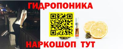 молекула духа Старая Купавна