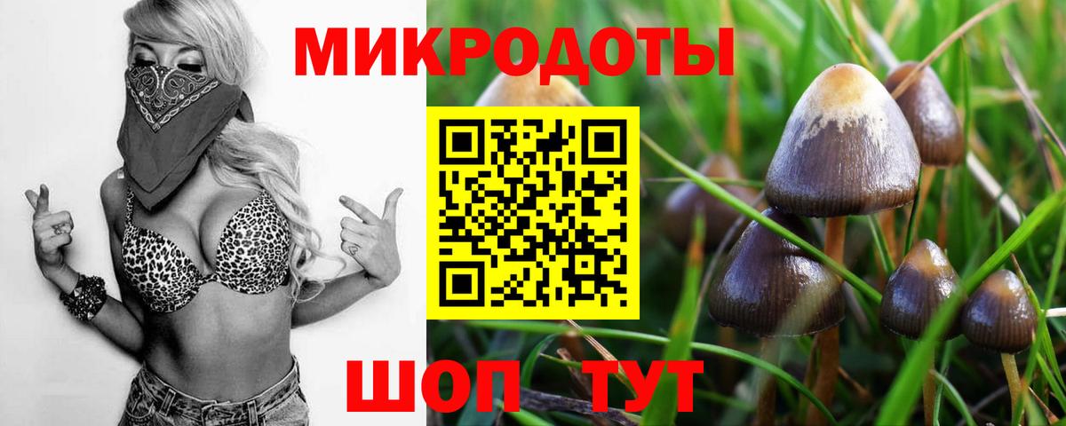 Псилоцибиновые грибы мицелий  Псилоцибиновые грибы Magic Shrooms  Вход с VPN  Печора 